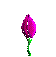 Flower 1 4 1